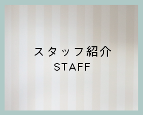 スタッフ紹介